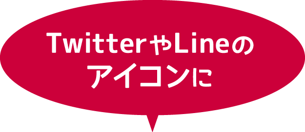 TwitterやLineのアイコンに